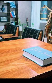 وکیل دادگستری