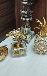 پک اکسسوری روکش طلا