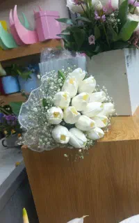 تخفیف ویژه عروس داماد