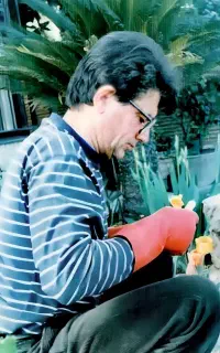 مجموعه آثار اورجینال و بازتولید محمدرضا شجریان