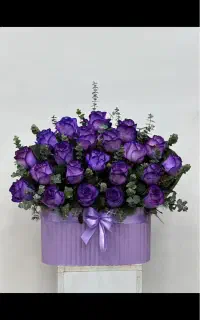 جویای شغل اداری هستم