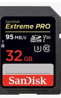 رم 32 گیگ دوربین