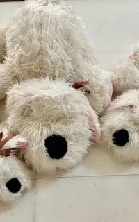 فروش عروسک