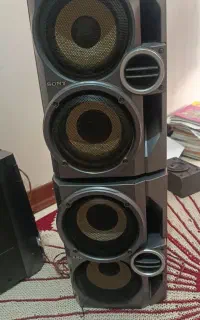 ظبط