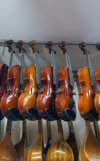 ویولن پخش عمده