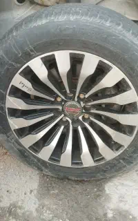 رینک اسپورت سایز ۱۵