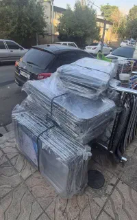 فروش بندرخت به قیمت عمده