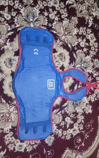 هوگو ووشو