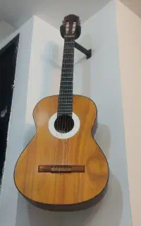 گیتار سالم