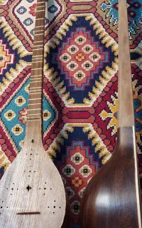 سه تار حرفهای و مبتدی