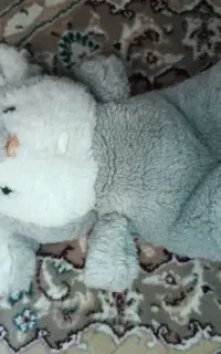 عروسک کوآلا