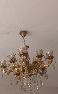 فروش لوستربرنز