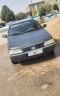پژو۴۰۵