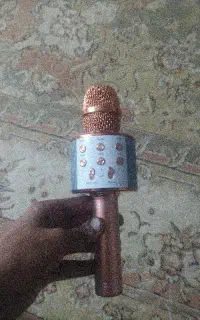 اسپیکر و میکرفون