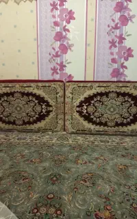 پشتی زرشکی سالم