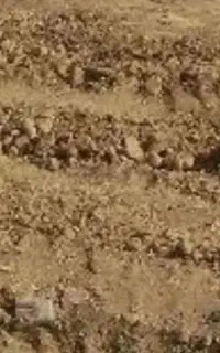 زمین در حاجی آباد معاوضه با موتور