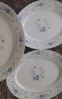 ظروف آرکوپال