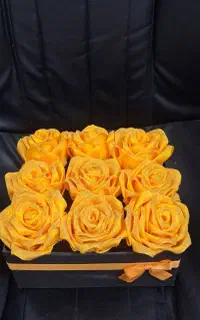 باکس رز ربانی
