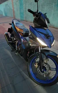 mx king 1402