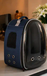 کوله گربه و سگ و پرنده