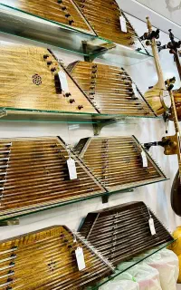 انواع سنتور از مبتدی تا حرفه‌ای از برندهای معتبر