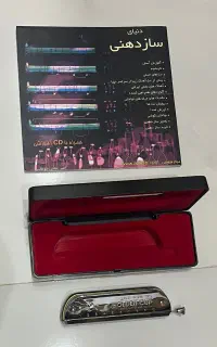 سازدهنی کروماتیک