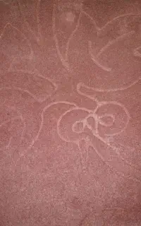 ۲تاموکت صورتی نقشدارو۱عددپالاز قهوه ای و۱عددشتری