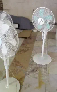 پنکه