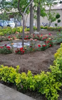 خدمات باغبانی فروش گل گلکاری درختکاری  کوددهی