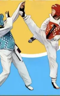 آموزش هنر رزمی و المپیکی تکواندو