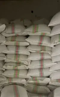 جو وطنی دانه بزرگ