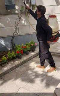 خدمات باغبانی و سمپاشی با ضمانت و فاکتور