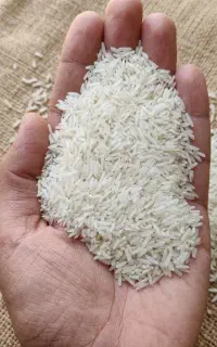 برنج هاشمی