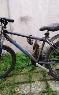 دوچرخه سایز بزرگ