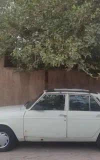 پیکان