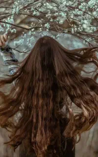 خرید و فروش مو