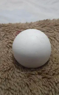 سنگ آسیاب