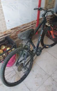 دوچرخه 24