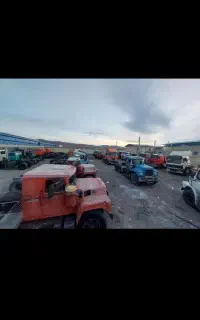 اسقاط انواع کشنده