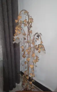 آباژور درحد نو