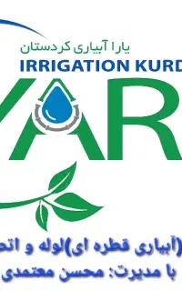 ویزیتور خانم