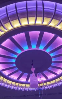 گچکاری ولکه گیری