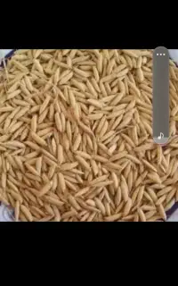 برنج چلتیک
