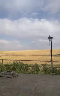 کاه گندم کردستان روستای پاپاله