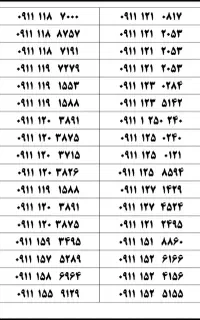 ۰۹۱۱-۱۱۰-۶۰۱۰