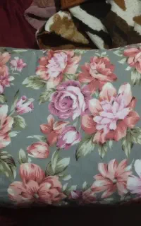 پنج عدد بالشت نو