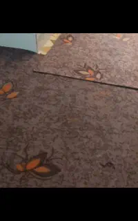 موکت برا فروش