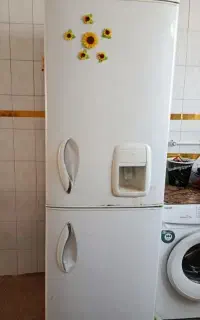 یخچال فریز
