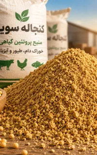 کنجاله سویا ایرانی برزیلی ارژانتینی