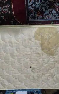 تشک تخت